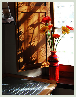 Flowers in the downstairs kitchen window