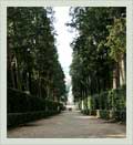 Walkway at boboli gardens - Florence