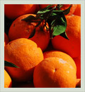 Sarteano - Oranges sold at the local market